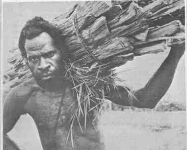 tssrat facing the realities6.jpg